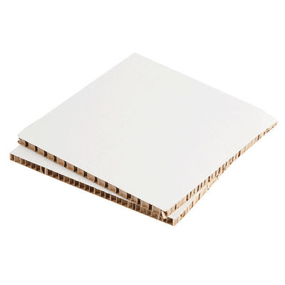 Papel blanco de panal de miel con cartón blanco endurecido